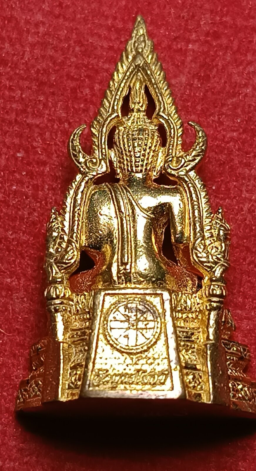 1770915228162.jpg