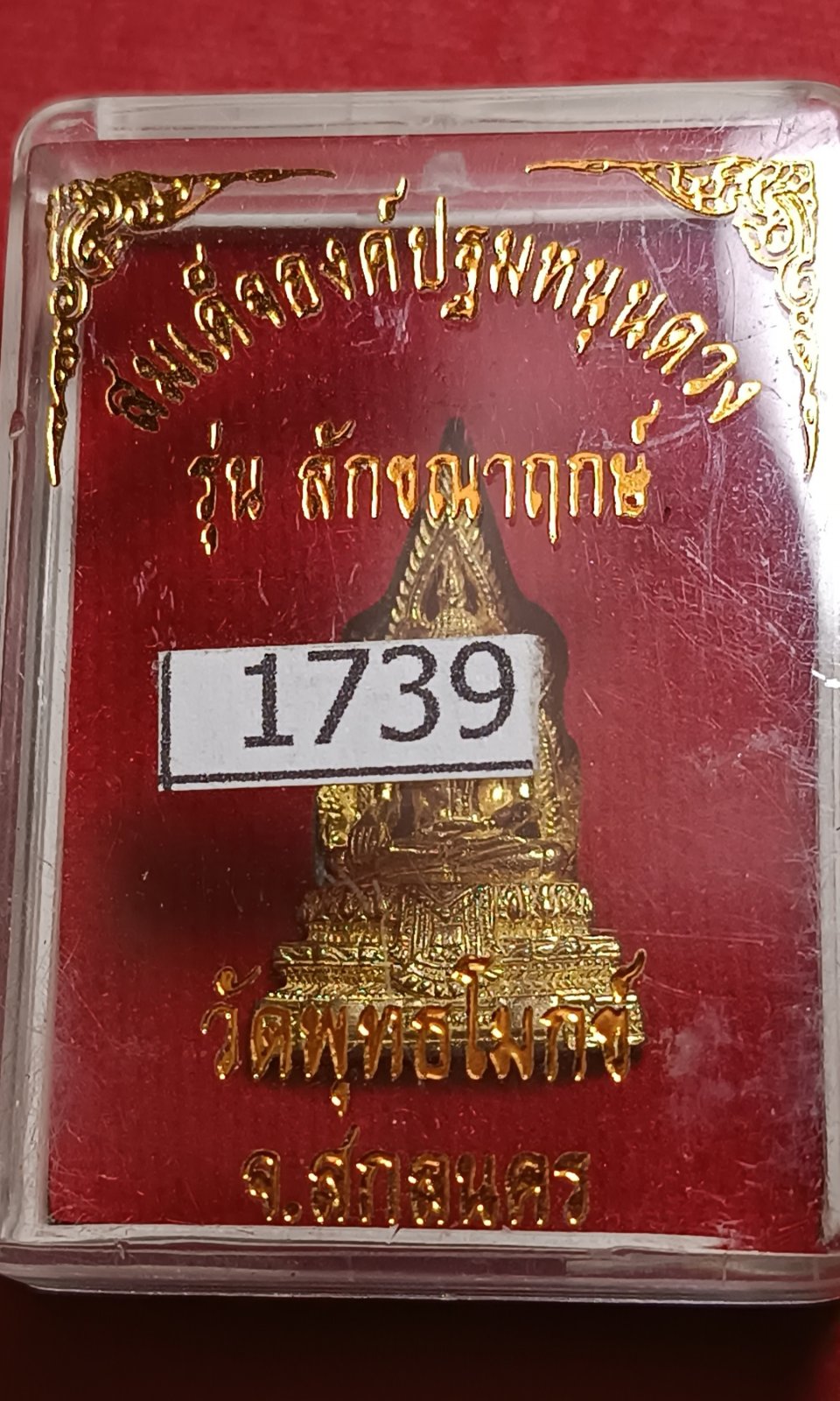 1770915228215.jpg
