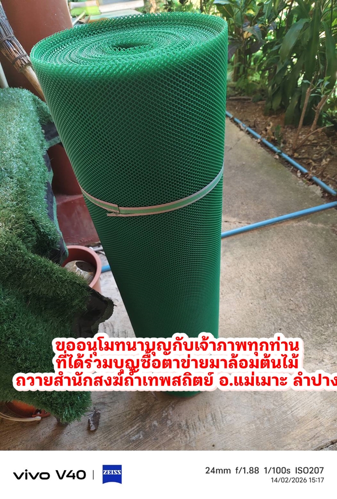 1771135772173.jpg