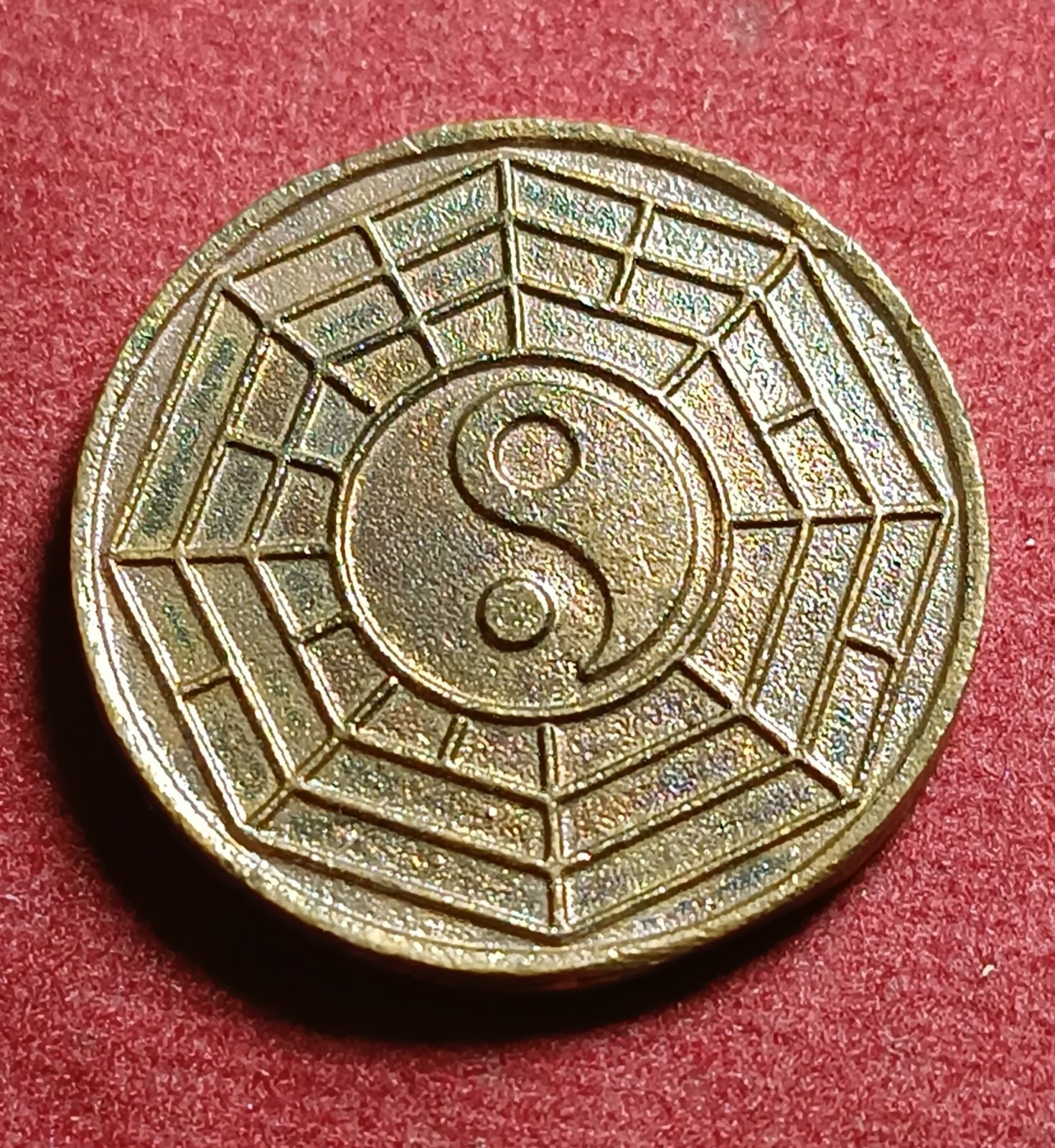 1777826568983.jpg