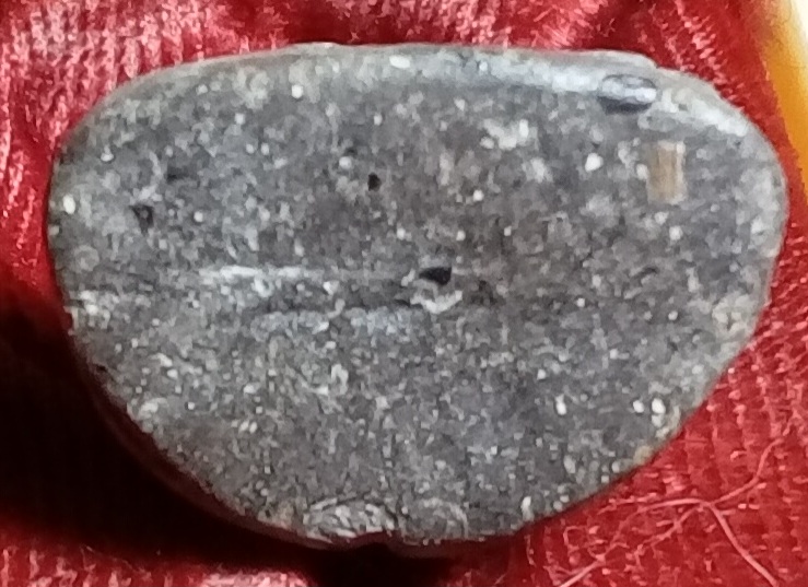 20260425_130203.jpg