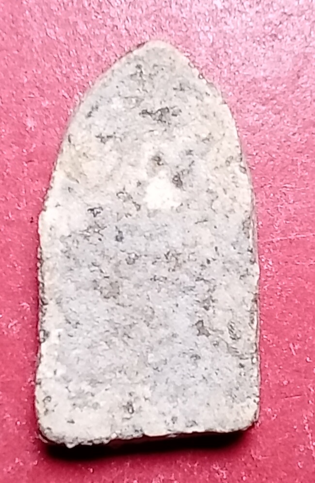 20260428_225534.jpg