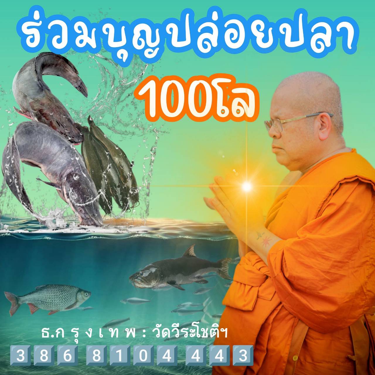 239784.jpg