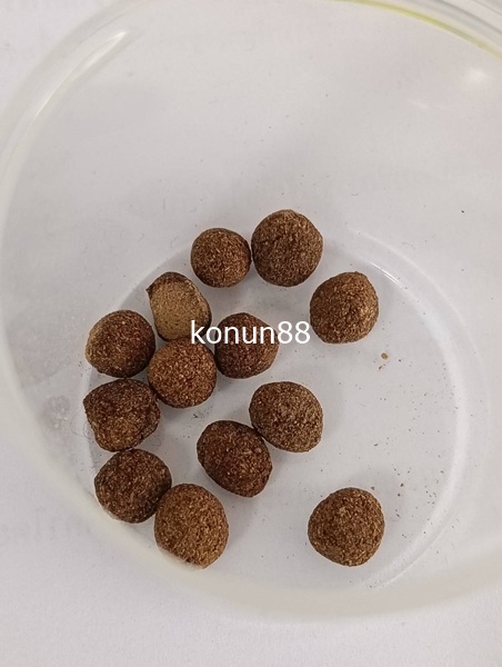 273578.jpg