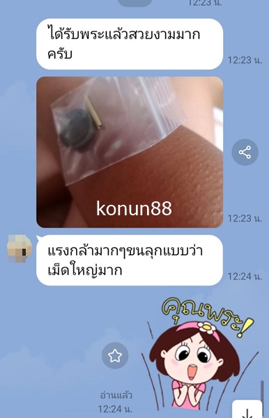 274462.jpg