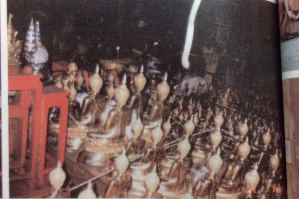 511609351_122145149786409237_2692188899760507748_n.jpg