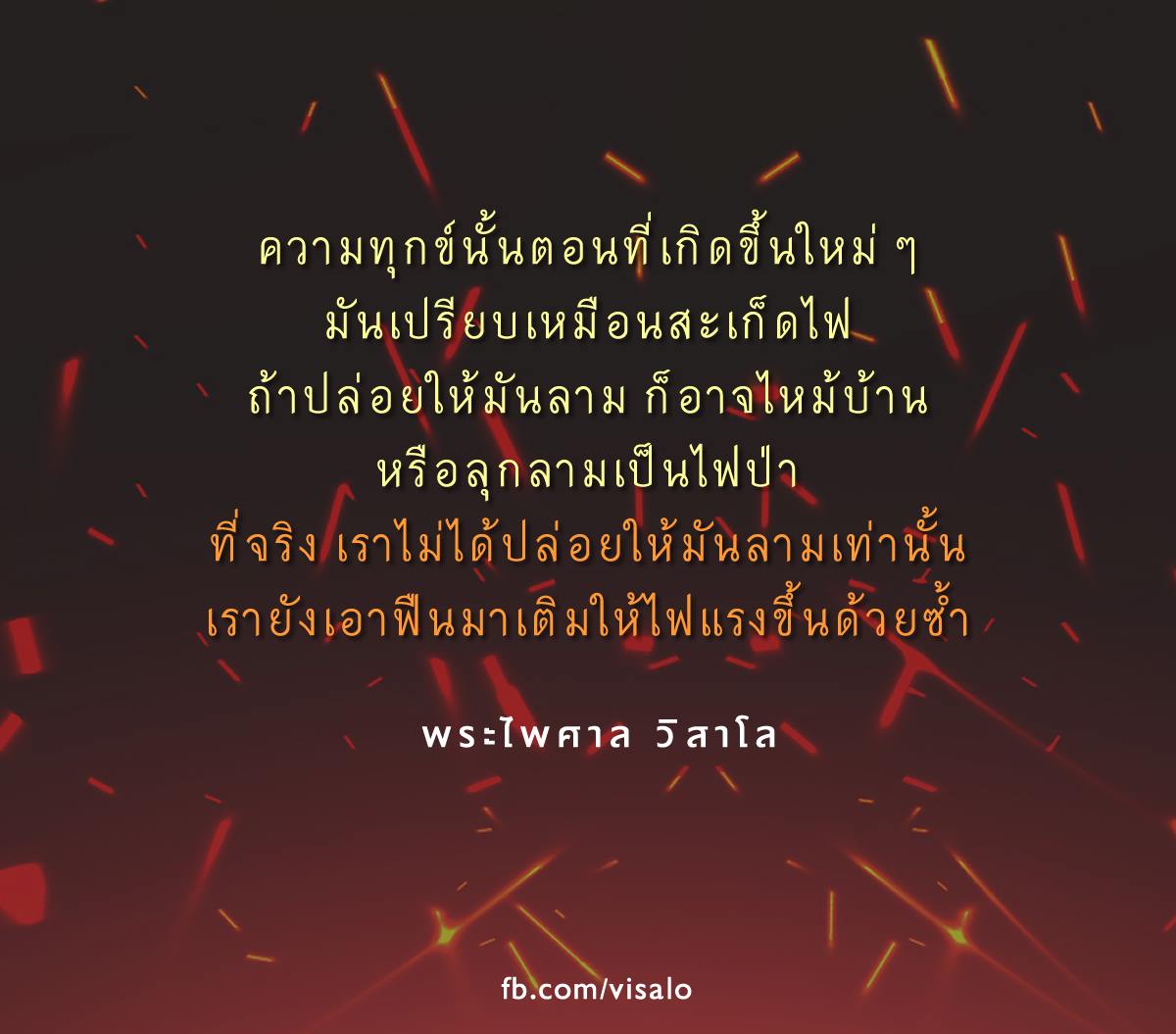 842.jpg