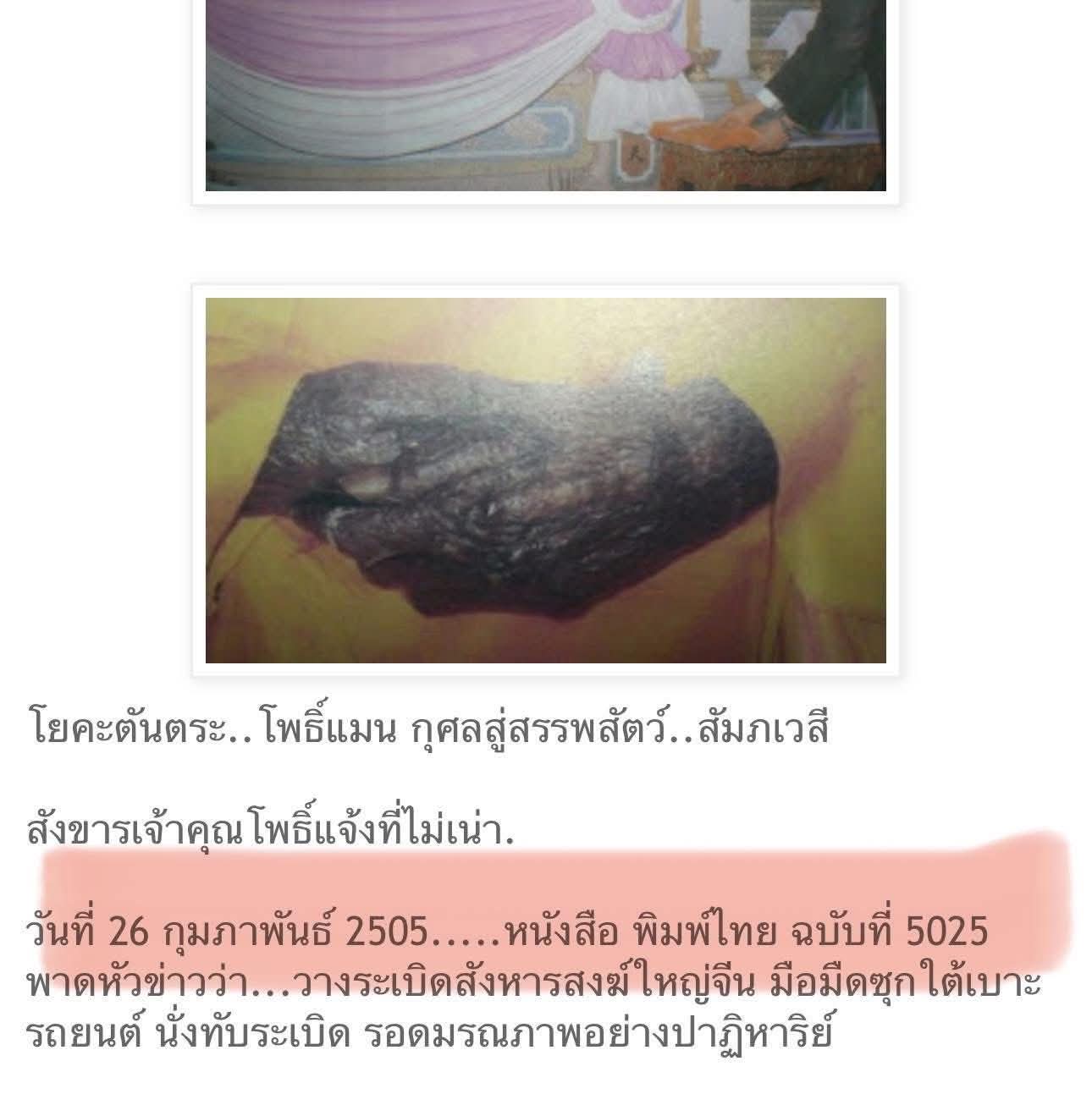 FB_IMG_1781007686935.jpg