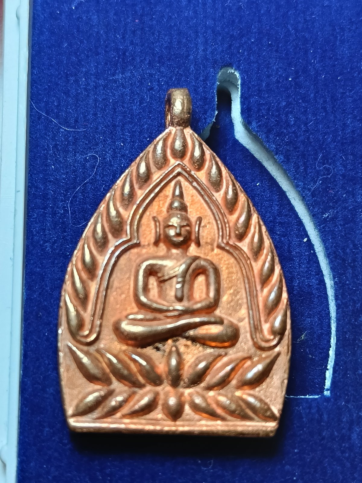 IMG20260325233333.jpg
