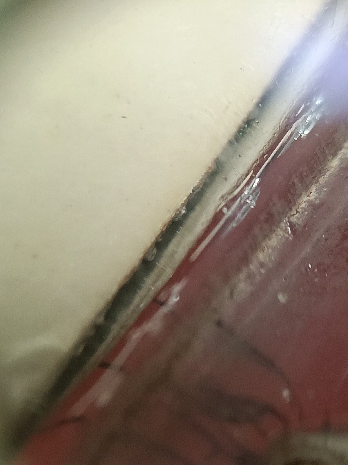 IMG20260621050735.jpg