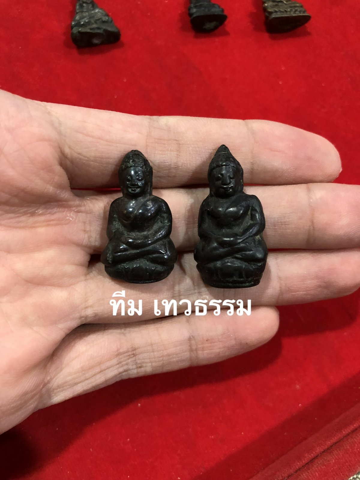 IMG_7110.jpeg