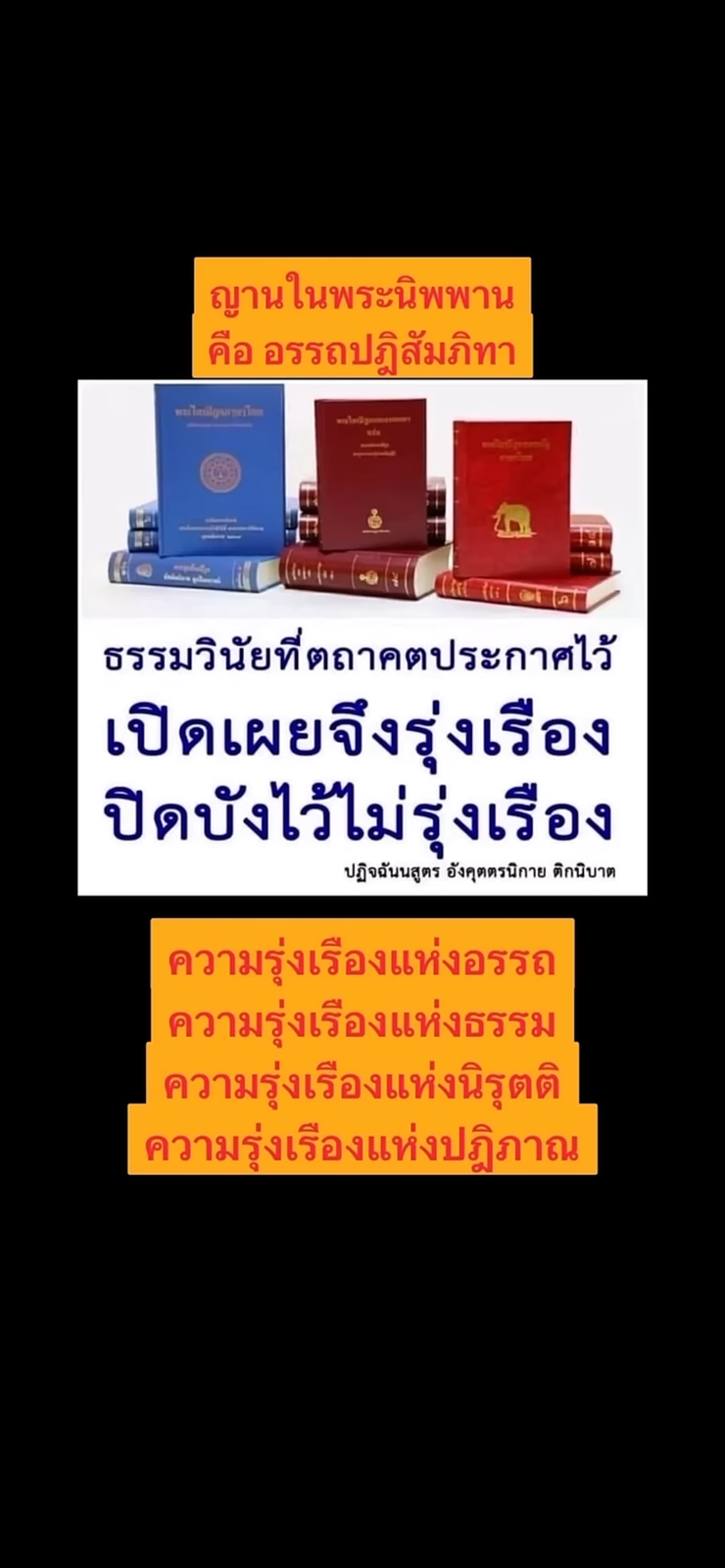 IMG_8153.png