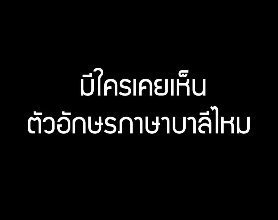 IMG_8156.jpeg