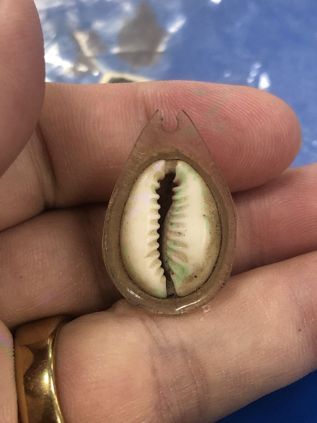 IMG_8753.jpeg
