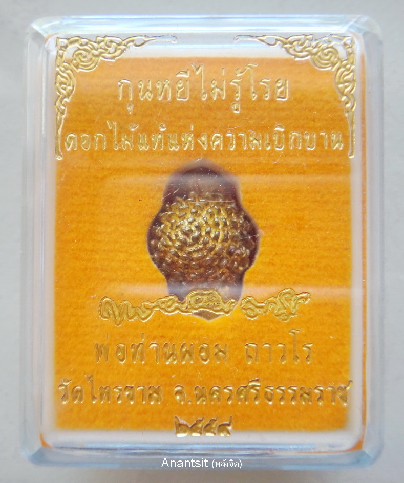 P1.JPG