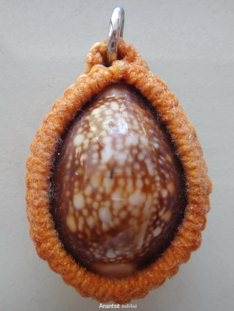 P1.JPG