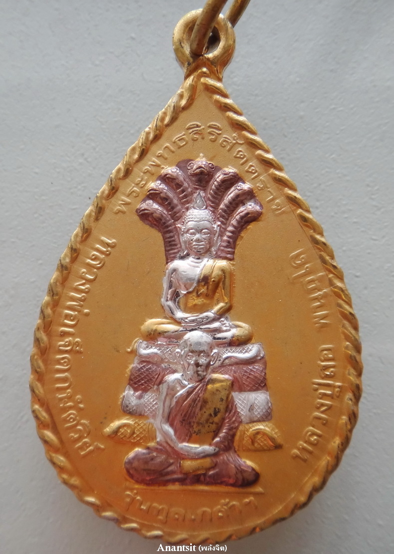 P1.JPG