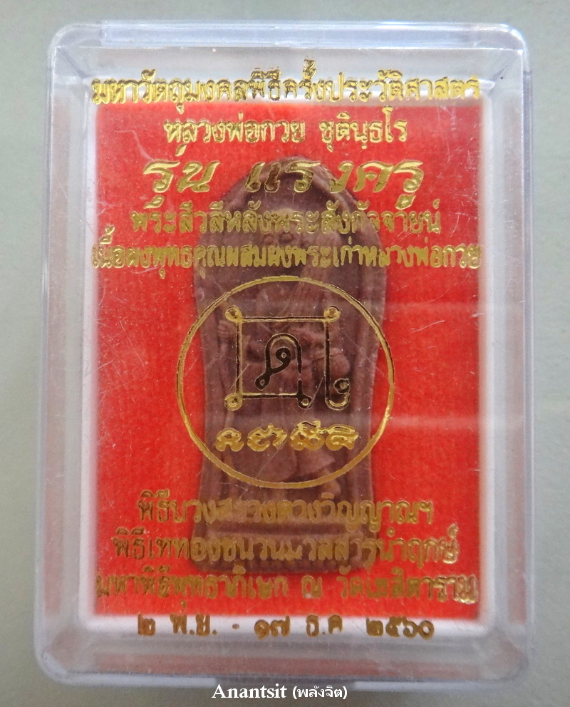 P1.JPG