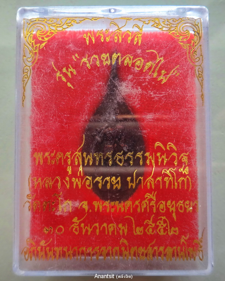 P1.jpg
