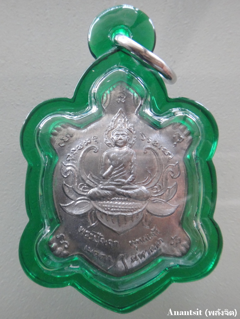 P1.JPG