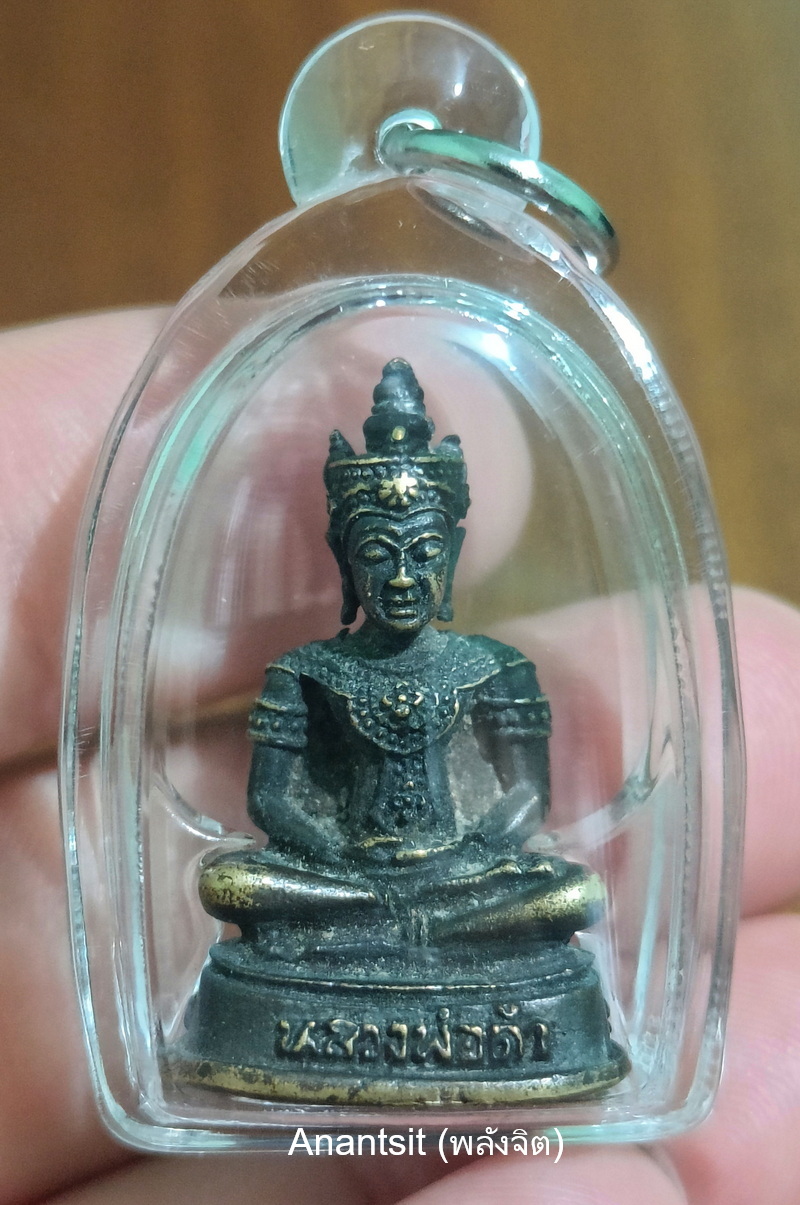 P1.jpg