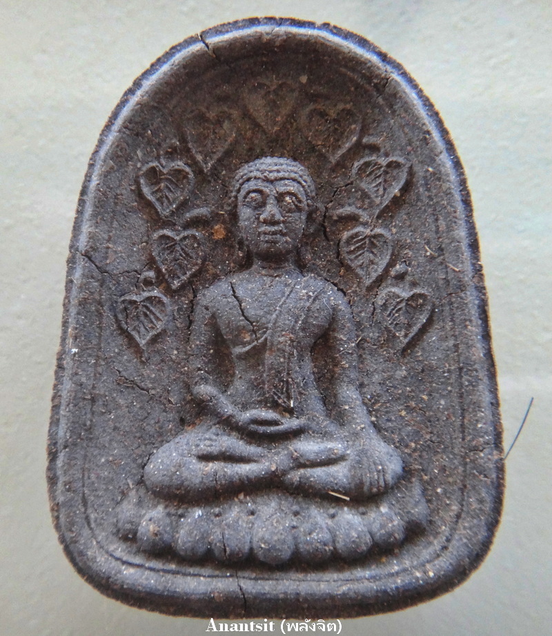P2.JPG