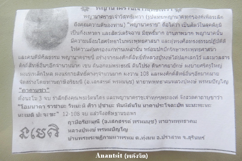 P3.JPG
