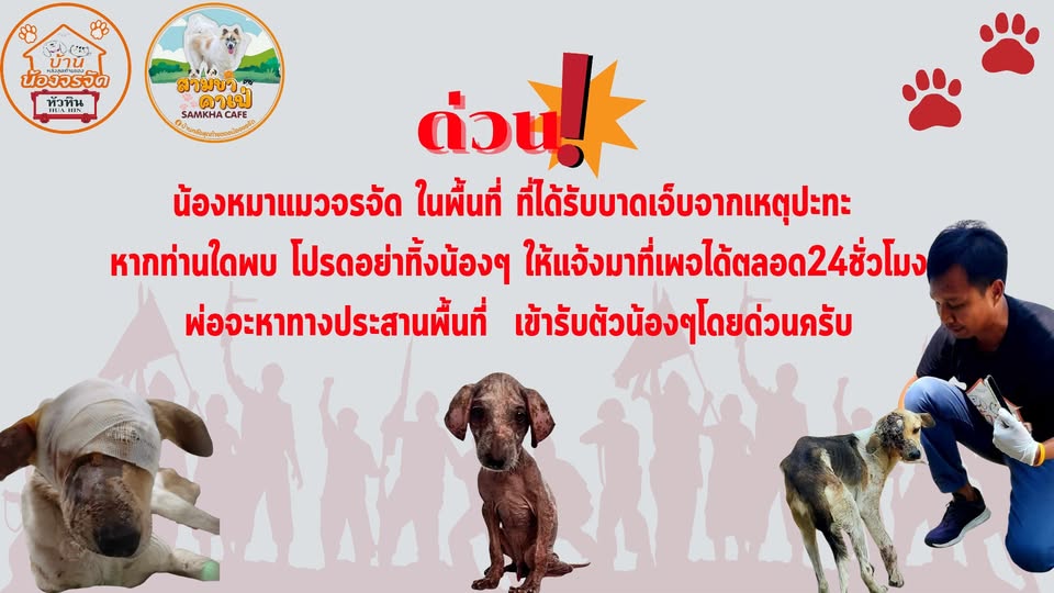 ?temp_hash=d89a08b81c09ab40a66dfe915211d882.jpg